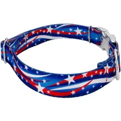 Country Brook Petz Premium Star Spangled Dog Collar