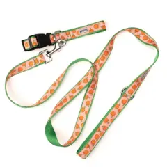 The Worthy Dog Peachy Keen Dog Collar