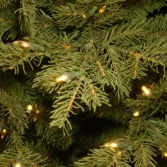 National Tree Company 9' Pre-lit Feel Real Full Nordic Spruce Artificial Christmas Tree with Clear Lights