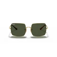 Ray-Ban RB1971 54mm Female Square Sunglasses