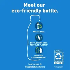 Snapple Apple Juice Drink - 16 fl oz Bottle