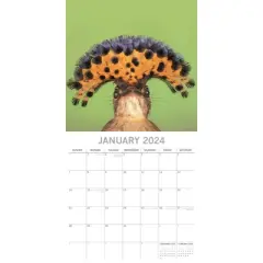 The Gifted Stationery 2024 Square Wall Calendar, Exotic Birds, 16-Month Animals Theme with 180 Reminder Stickers (12 x 12 In)