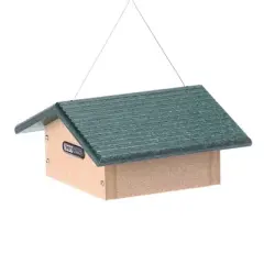 Birds Choice Single Cake Upside Down Suet Bird Feeder with Green Roof: Weather-Resistant, Easy Refill