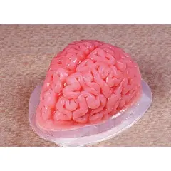 Fun World 9-inch Brain Shaped Plastic Gelatin Mold
