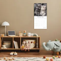 2026 Square Wall Calendar, Cat Portraits, 16-Month Black and White Photos with 180 Reminder Stickers (12x12 In)