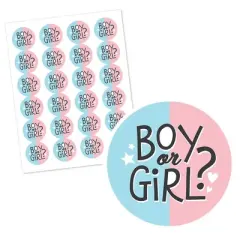 Big Dot of Happiness Baby Gender Reveal - Team Boy or Girl Party Circle Sticker Labels - 24 Count