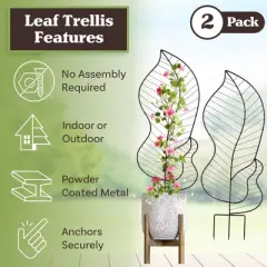 44in Trellis for Climbing Plants 2PK
