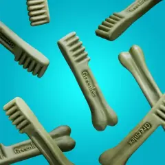 Greenies Fresh Dental Care Regular Spearmint Flavor Adult Dog Treats - 12oz