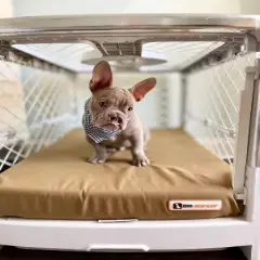 Big Barker 4" Orthopedic Crate Bed