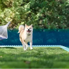 PetSafe Stubborn Dog In-Ground Adjustable Fence - Black