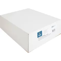 Business Source No. 10 Double Window Invoice Envelopes