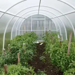 Okuna Outpost 6 Mil Greenhouse Plastic Sheeting Roll, 25x40 ft UV Resistant Polyethylene Cover for Agriculture and Farming Herbs, Vegetables, Flowers