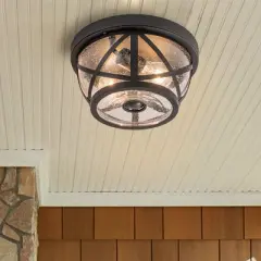 C Cattleya 2-Light Motion Sensor Dusk to Dawn Ceiling Light Fixture Outdoor Flush Mount