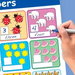NewPath Numbers Bulletin Board Chart Set, Grades 1 to 3, Set of 6