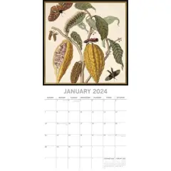 The Gifted Stationery 2024 Square Wall Calendar, Insects, 16-Month Arts & Antiques Theme with 180 Reminder Stickers (12x12 In)