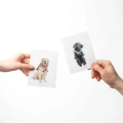 Everyday Greeting Card Pack (3ct) "Lab, Dog Walking, Retriever" by Ramus & Co