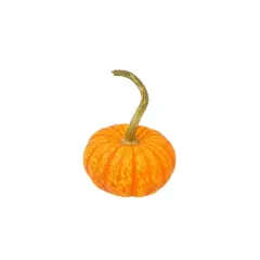 Ornamental Sparkler Pumpkin - each