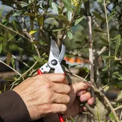 FELCO 11, Narrow Head Forged Aluminum Hand Pruner, Large Hand, Swiss Made