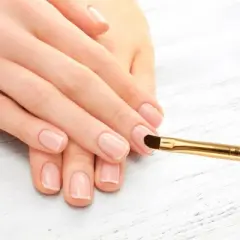 Unique Bargains Small Round Head Nail Painting Brushes for Home DIY Gold Tone Clear White 1 Pc