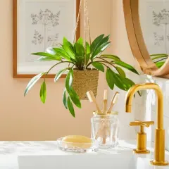 8" Faux Hoya Hanging Plant - Hearth & Hand&trade; with Magnolia