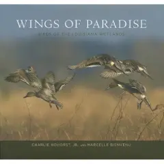 Wings of Paradise - by  Charlie Hohorst (Hardcover)