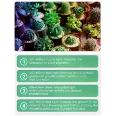 Garden Elements 4 Heads Clip-on Grow Light Growing Lamp for Indoor Plant Hydroponics, 96W LED, Black