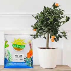 Soil Sunrise 100% Natural Pine Bark Mulch, for Container Gardening, Soil Supplement, Houseplants, Terrariums