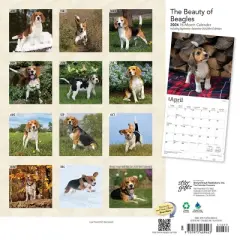 StarGifts 2024 Wall Calendar 12"x12" The Beauty of Beagles