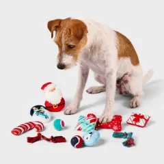 Days of Dog Plush Rope Dog Toy Set - 12pk - Wondershop&trade;