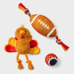 Thanksgiving Dog Ball Plush Toy Set - 3pk - Boots & Barkley&trade;