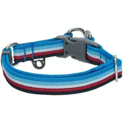 Blueberry Pet Stripe Adjustable Dog Collar