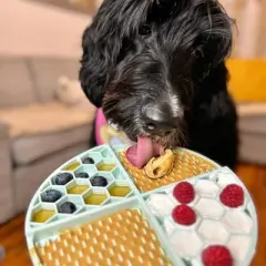 Superberry Snoot Buddy Budder (17oz)