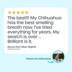 PetFriendly Brilliant!&trade; Dental Stick for Dogs