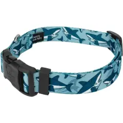 Country Brook Petz Deluxe Sharks Dog Collar and Leash