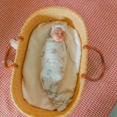 Copper Pearl Knit Swaddle Blanket - Winnie the Pooh & Friends