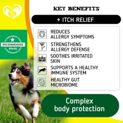 Beloved Pets Dog Anti Itch Allergy Support Chews with Probiotic and Omega 3 Skin Coat Health Immune Supplement 10 Oz - 1 Pack
