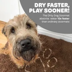 Dog Gone Smart Dirty Dog Doormat - Fast Drying Rug