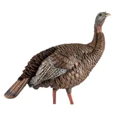 Avian X Heavy Duty Realism Hen Decoy
