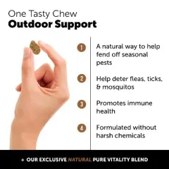 Pet Honesty Flea & Tick Support Supplement Soft Chews for Dogs - Hickory Bacon Flavor, 90 Ct