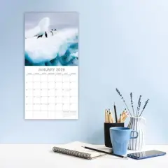 2026 Square Wall Calendar, Antarctica, 16-Month Natural World Theme, 180 Reminder Stickers (12x12 In)