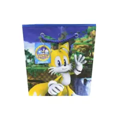 Sonic Top Speeds Storage Bin