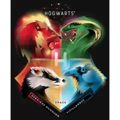 Girl's Harry Potter Hogwarts' Four Houses T-Shirt