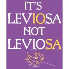 Girl's Harry Potter Hermoine Leviosa Not Leviosa T-Shirt