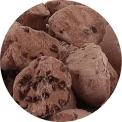 Arctic Farms Freeze Dried Ice Cream That Does Not Melt (Bits) (Chocolate Chocolate Chip)