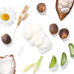 Tree To Tub Soothing Coconut, Cocoa & Shea Butter Lotion for Body