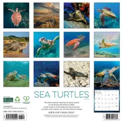 Willow Creek Press 2026 Sea Turtles Wall Calendar