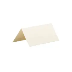 JAM Paper Printable Place Cards 3 3/4 x 1 3/4 Ivory Placecards 12/Pack 2225916895