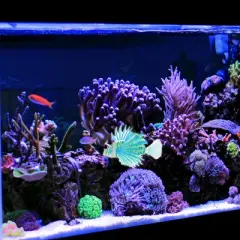 Unique Bargains Aquarium Artificial Lion Fish Glowing Ornament Simulation with Suction Cup 1 Pc