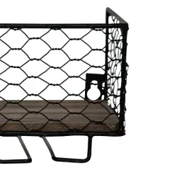 Two Bottle Black Wire Metal Wall Mount Wine Rack - Foreside Home & Garden