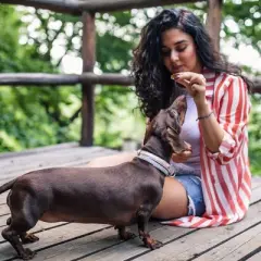 Fruitables Baked Pumpkin and Cranberry Flavor Healthy Low Calorie Dog Treats - 7oz